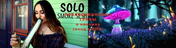 Альфа ПВП Новозыбков