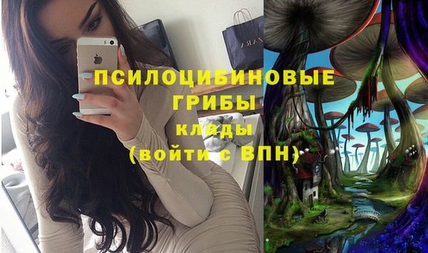прущая мука Новодвинск